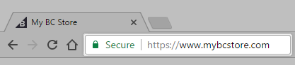 Example of a URL of a page secured with an SSL certificate as it appears in the address bar of a web browser